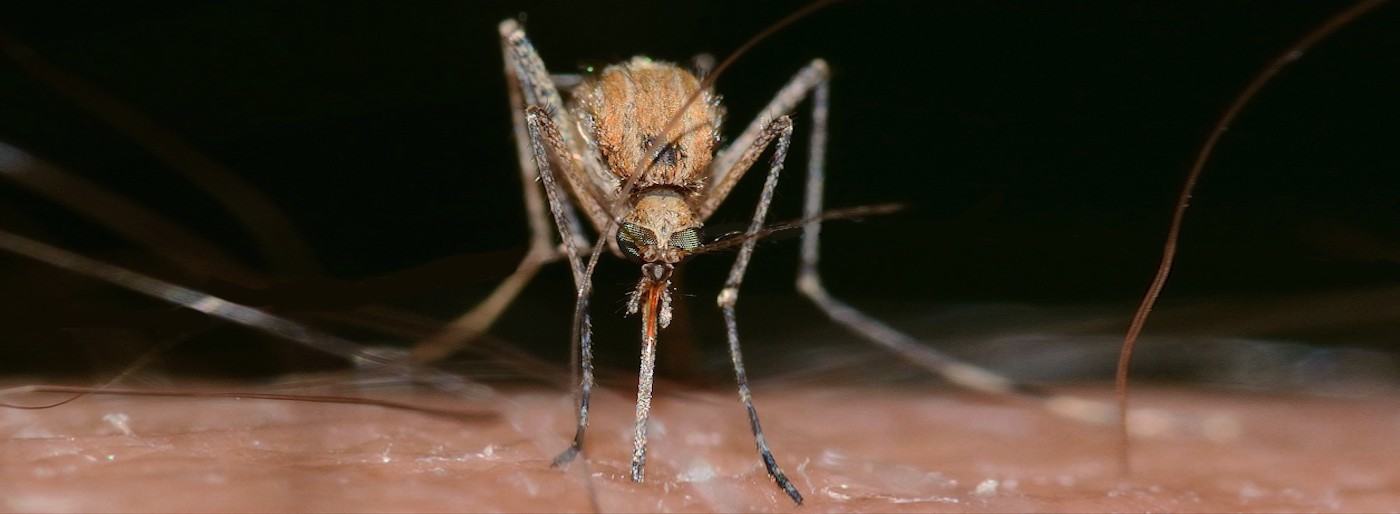 precautions sanitaires en thailande.jpg